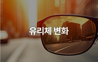 유리체 변화