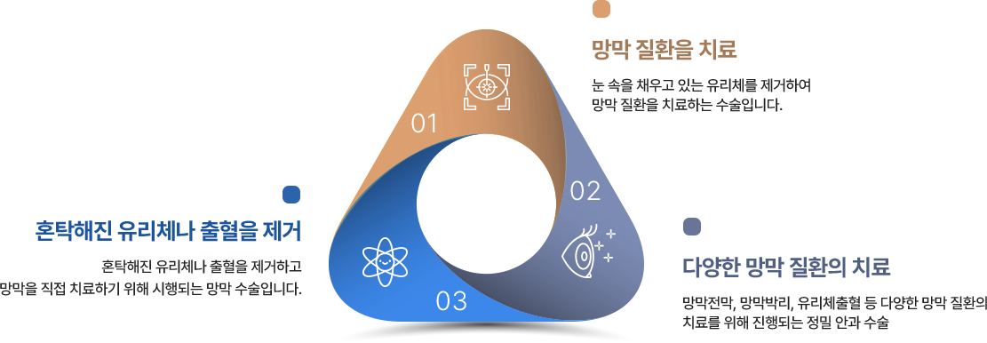 1. 망막 질환을 치료:눈 속을 채우고 있는 유리체를 제거하여  망막 질환을 치료하는 수술입니다. 2. 혼탁해진 유리체나 출혈을 제거:혼탁해진 유리체나 출혈을 제거하고 망막을 직접 치료하기 위해 시행되는 망막 수술입니다. 3. 다양한 망막 질환의 치료:망막전막, 망막박리, 유리체출혈 등 다양한 망막 질환의  치료를 위해 진행되는 정밀 안과 수술 